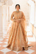 Elegant peach embroidered Pakistani dress with gold detailing, perfect for weddings and formal occasions.
